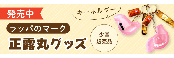 大幸薬品公式通販 TAIKO DIRECT